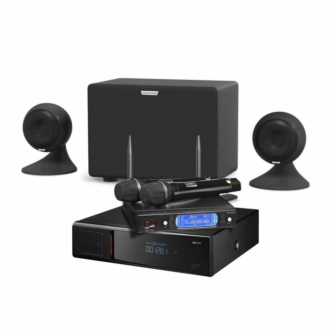 караоке-комплект AST Mini Sound Sphere в Владивостоке