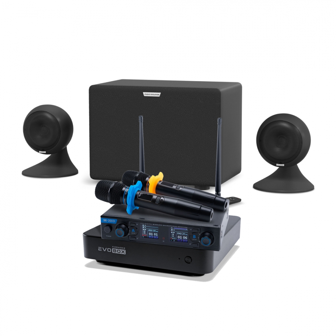 караоке-комплект EVOBOX + EvoSound Sphere 2.1 в Владивостоке
