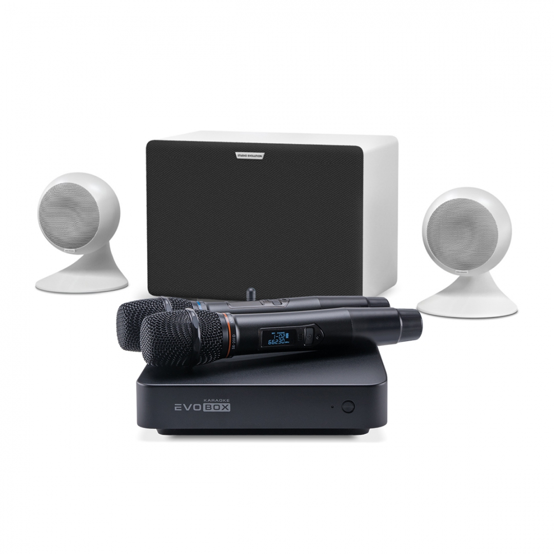 караоке-комплект EVOBOX Classic + EvoSound Sphere 2.1 в Владивостоке