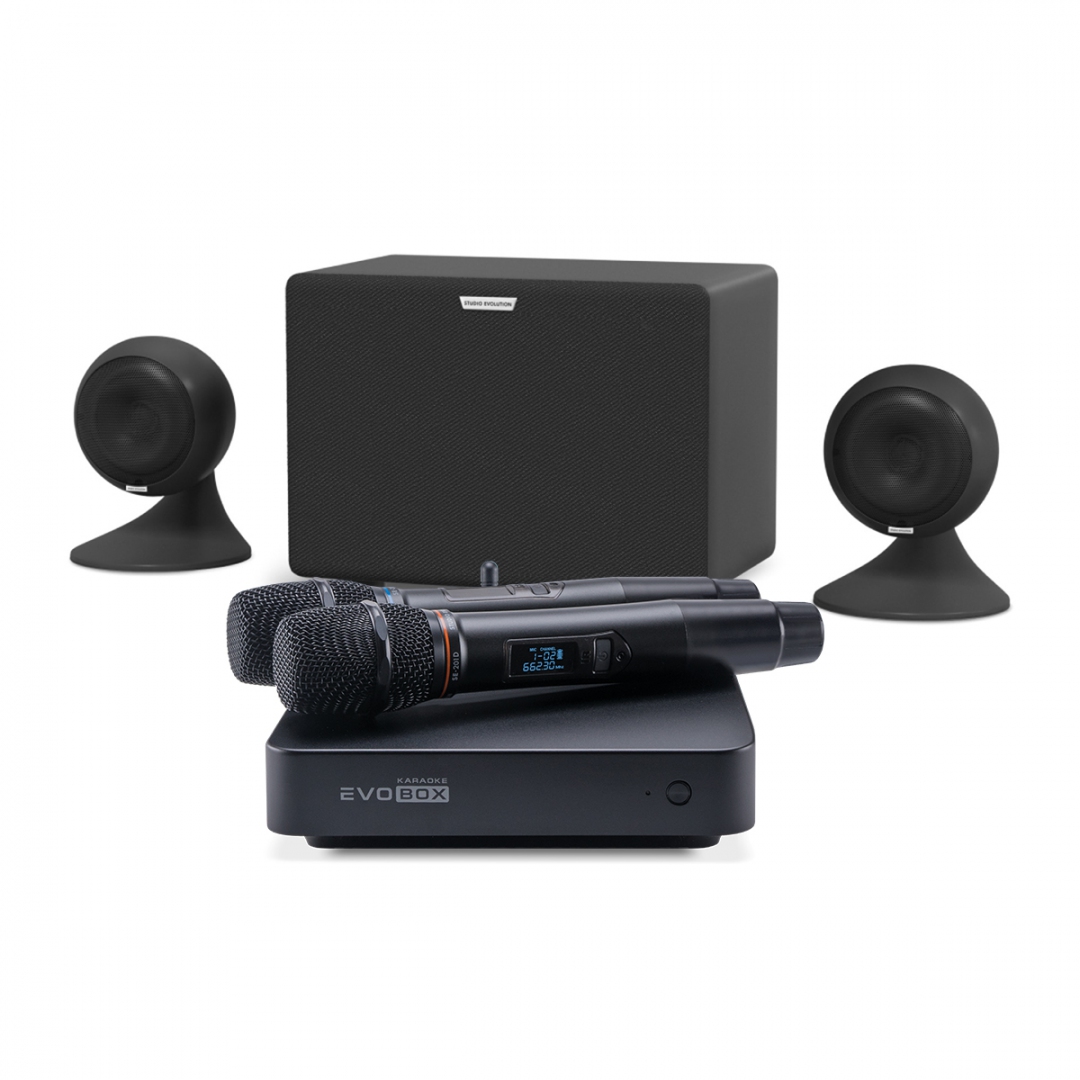 караоке-комплект EVOBOX Plus + EvoSound Sphere 2.1 в Владивостоке